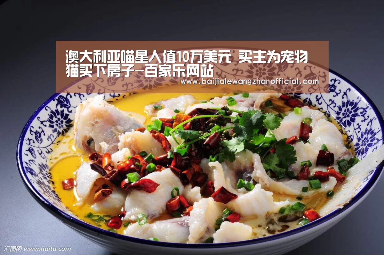 澳门百家乐