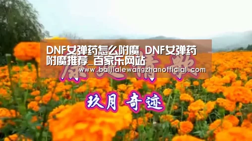 澳门百家乐